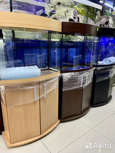 Аквариумы, рыбки