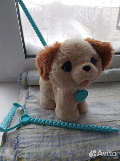 Собака-робот