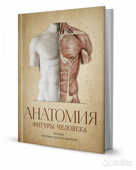 Анатомия фигуры человека, В.А. Могилевцев