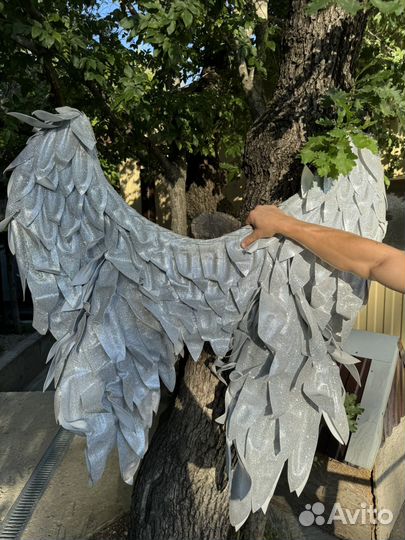 Серебрянные крылья