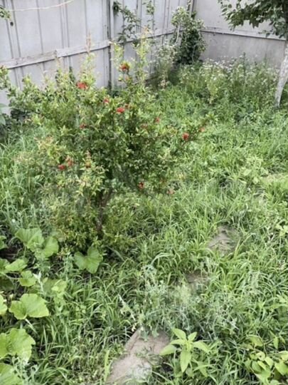 Участок 6 сот. (ИЖС)