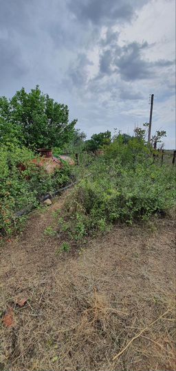 Участок 10,5 сот. (СНТ, ДНП)