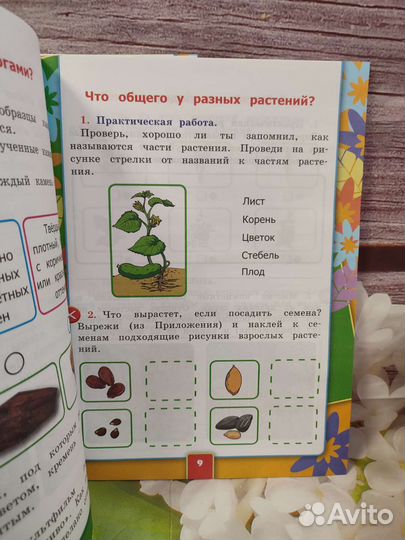 Рабочая тетрадь Окружающий мир 1кл Соколова