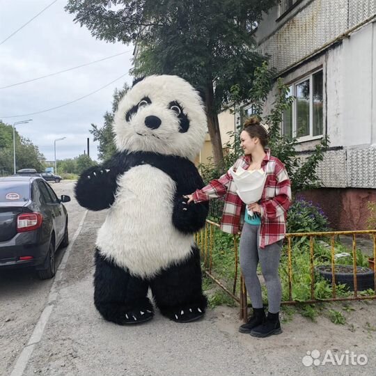 Поздравление Белый Мишка С Днем Рождения Панда