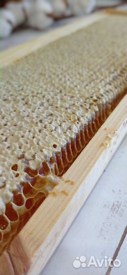 Мёд в сотах Алтайский