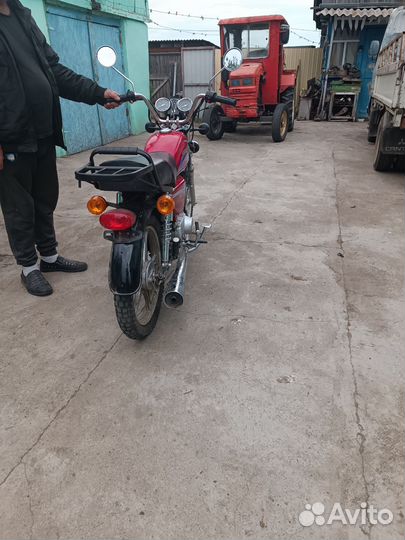 Продам альфу