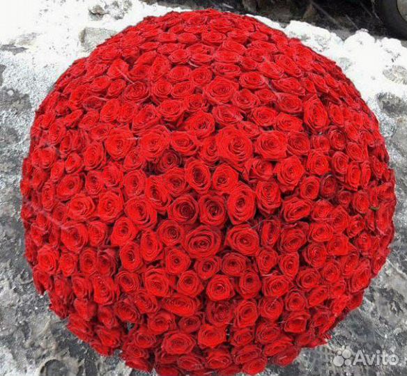 Букет 1001 роза большие букеты
