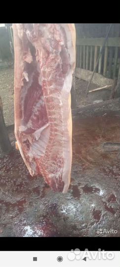 Домашняя свинина