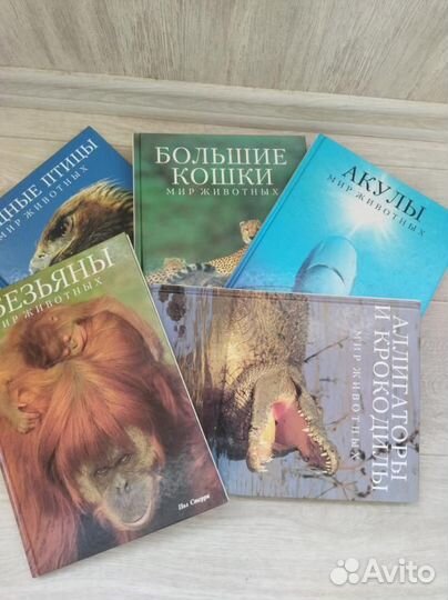 Книги альбомы
