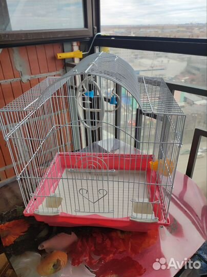 Клетка для птиц