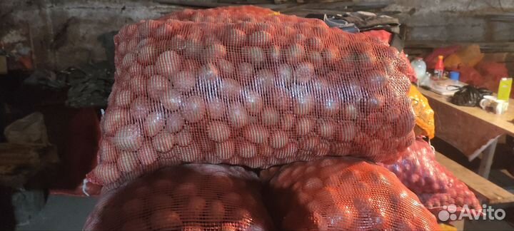 Продам картошку