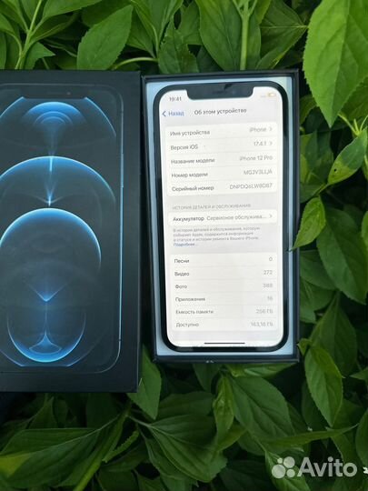 iPhone 12 Pro, 256 ГБ