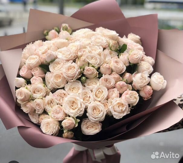 31 Роза пионовидная