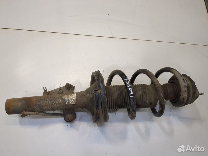 Амортизатор подвески Ford Transit, 2007