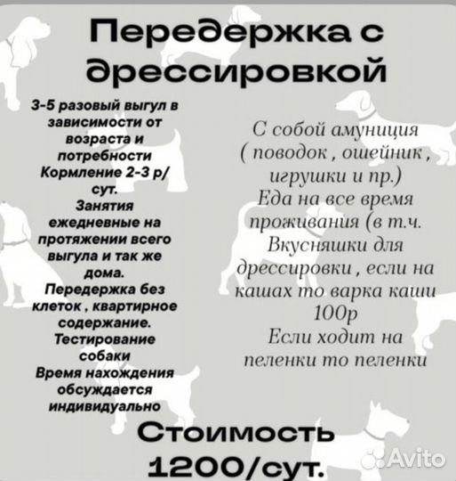 Кинолог дрессировка собак передержка
