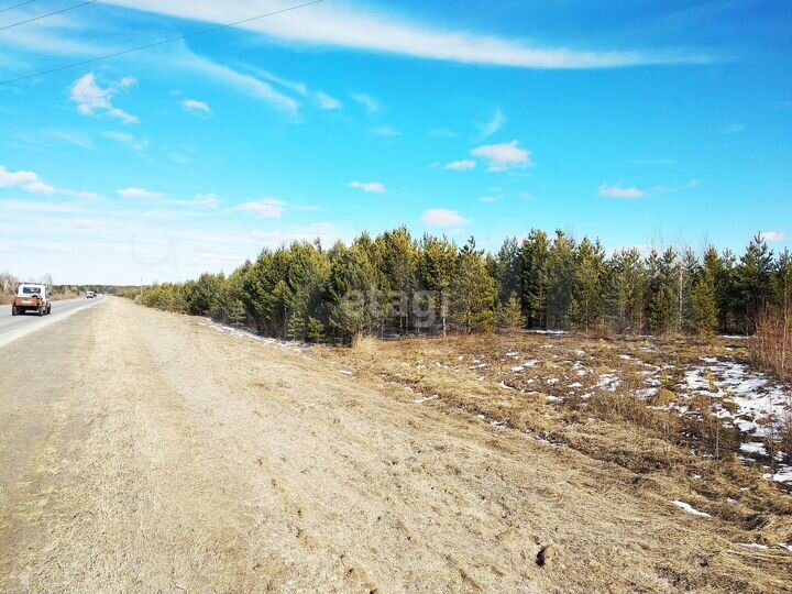 Участок 8,1 сот. (СНТ, ДНП)