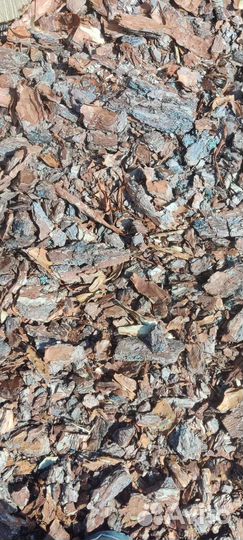 Кора сосны. Мульча сосновая. Кора сосновая