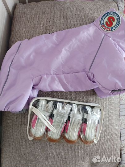 Комбинезон для маленькой собаки