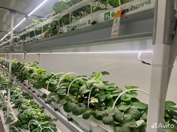 Светодиодный светильник 100Вт, MIX, 220В, 191см