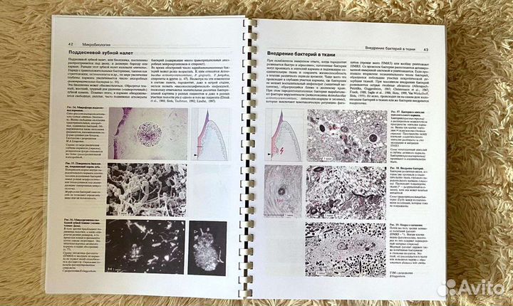 Пародонтология