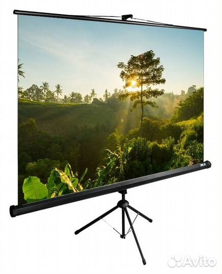 Экран Cactus 200x200см TriExpert CS-pste-200x200-BK 1:1 напольный рулонный черный