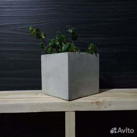 Горшки, Вазоны, Кашпо под заказ из бетона