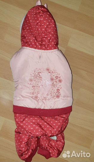 Одежда шлейки для собаки, игрушки для кошки