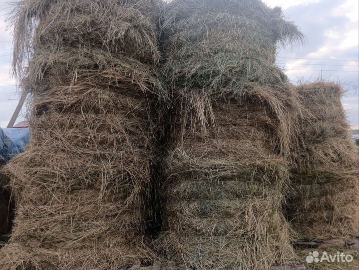 Сено в рулонах