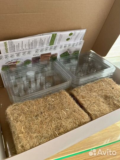 Набор для выращивания микрозелени