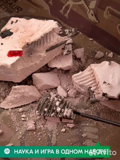 Игра для детей расскопай скелет динозавра