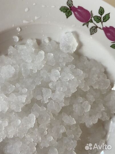 Индийский морской рис. Зооглея