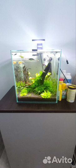 Аквариум aquael shrimp set 30