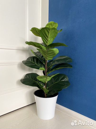 Искусственное растение Фикус каучуконосный