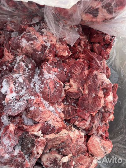 Мясо говядина для собак