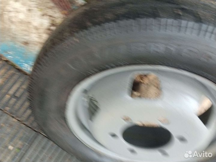 Колеса для муравья, Тула, газель