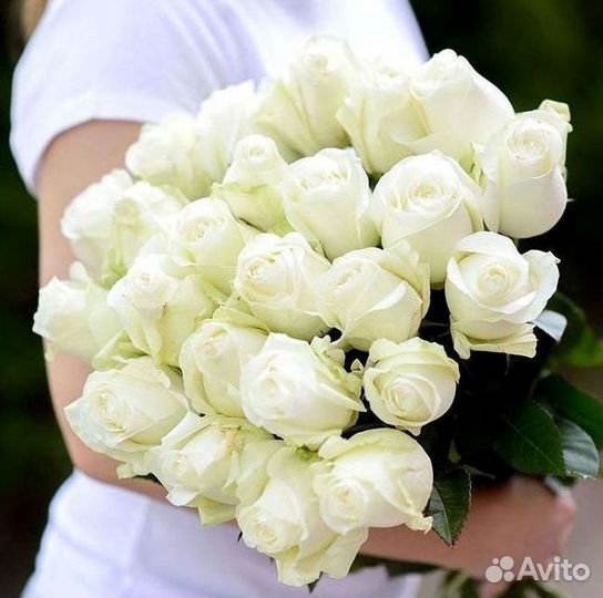 Розы Цветы Букеты 25 51 151 201 101 301 501 опт