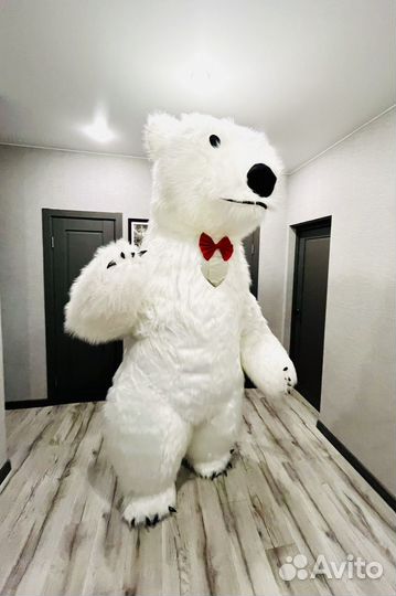 Белый Медведь Аниматор