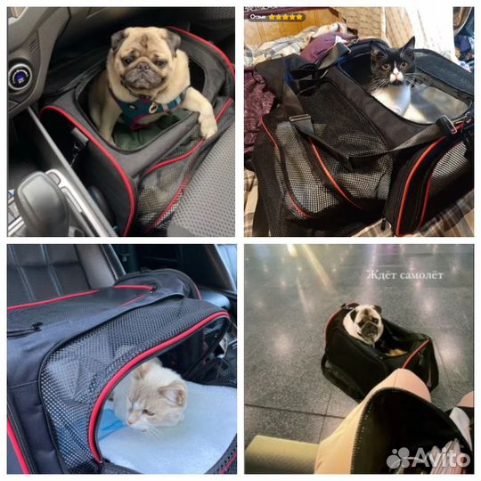 Переноска для кошек и собак