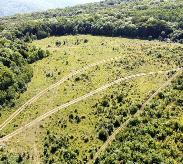 Участок 50 сот. (ИЖС)