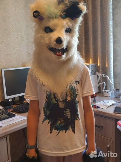 Фурсьюты собаки