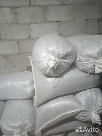 Семечки подсолнуха для птиц и на масло