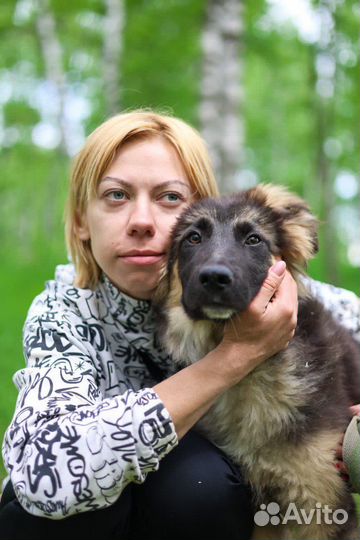 Щенок из приюта мечтает обрести семью