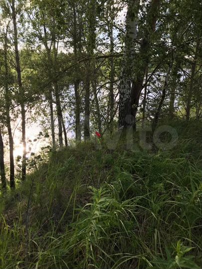 Участок 1,2 га (СНТ, ДНП)