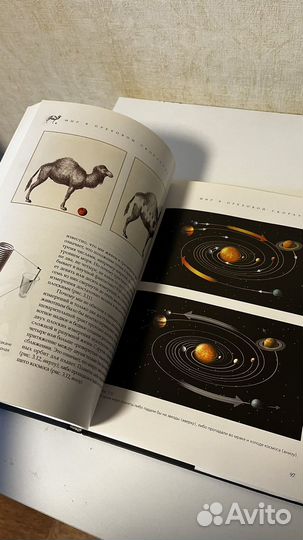 Мир в ореховой скорлупе. стивен Хокинг