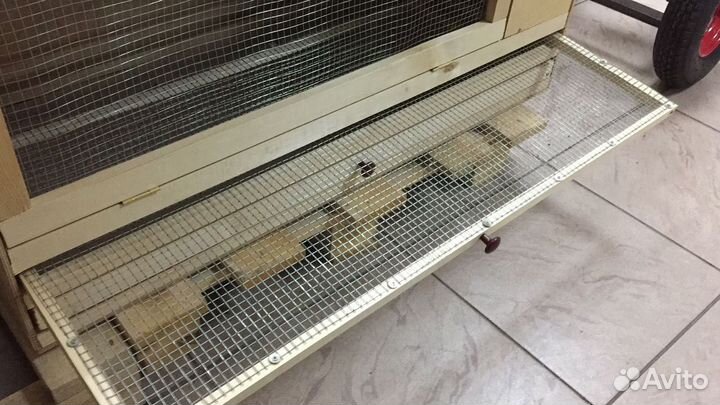 Брудер для цыплят, 100х45х45, дерево