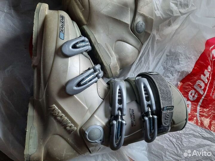 Горные лыжи