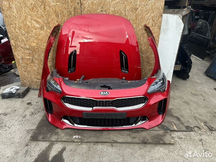 Ноускат Kia stinger
