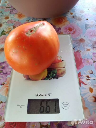 Помидоры, лук зелёный, кабачки