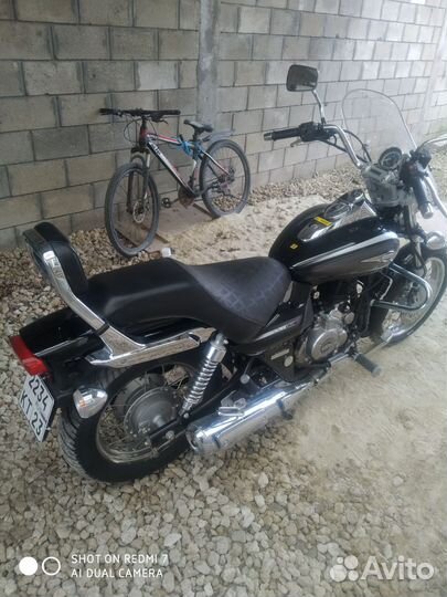 Bajaj avenger cruzer