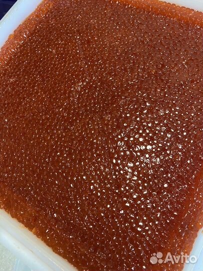 Икра красная 2023